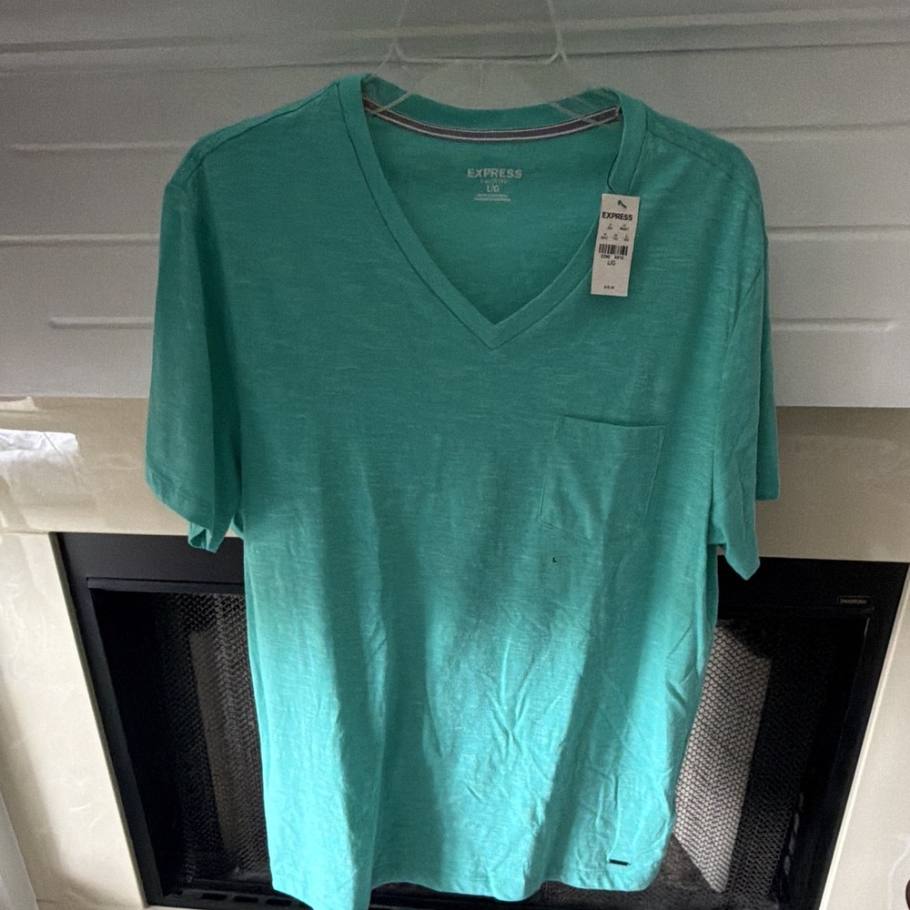 Express Men’s Solid Green V-Neck Short Sleeve T-Shirt Tee Size L/G Regular