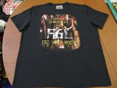 FLORIDA GEORGIA LINE DIG YOUR ROOTS 2017 TOUR T-SHIRT-LG RARE FGL COUNTRY MUSIC