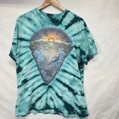 Vintage 1991 Mike DuBois Ocean Dolphin Turquoise Tie Dye Grateful Dead Rare L