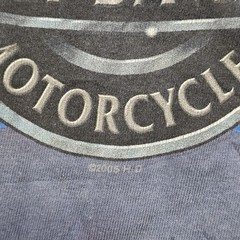 VTG 2005 Harley Davidson T Shirt Mens XL? Blue Greensboro NC Flames Graphic Tee