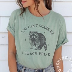 You Cant Scare Me I Teach Pre K Shirt Funny Raccoon Teacher Back To School Tee