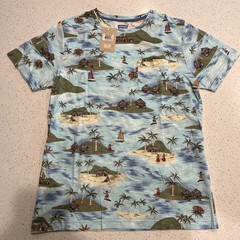 Levi’s Mens Hawaiian pocket T-Shirt Size Large Clear Water Casual NWT