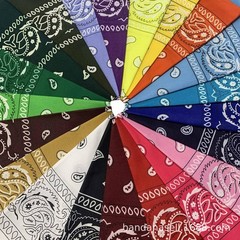Tergy 30PCS Bandanas Unisex Paisley Bandanas Bulk Multi-Purpose Headband Cowb…