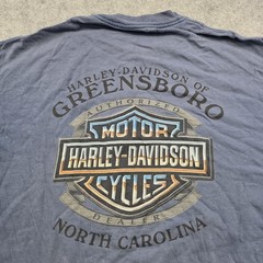 VTG 2005 Harley Davidson T Shirt Mens XL? Blue Greensboro NC Flames Graphic Tee