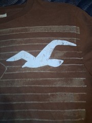 Hollister “California” Mens 0 Cotton Brown, Relaxed Fit, Casual Tshirt…