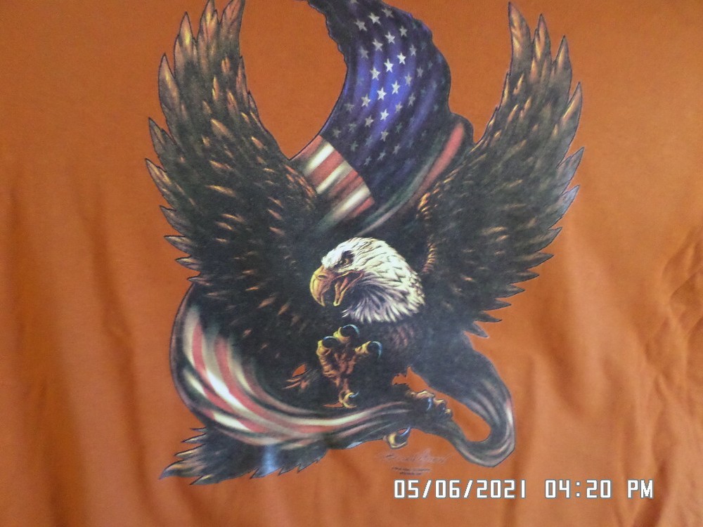 NEW Patriotic T-Shirt: American Eagle w/ Flag Lots of Colors & Sizes