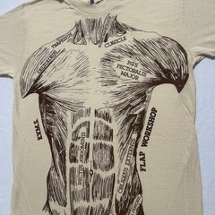 VTG 80s Anatomy Muscle Chart Medical Short Sleeve T-Shirt Men’s M Yellow