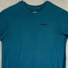 Patagonia T-Shirt Mens Large Teal Blue Responsibili-Tee Graphic Tee Short Sleeve