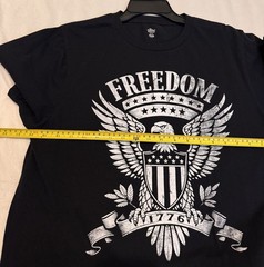 Way to Celebrate Men’s or Unisex 4th of July USA Freedom Eagle Graphic Tee,Large