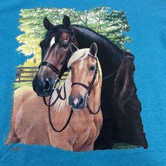 Fruit Of The Loom Iron On Horse Pony T-Shirt Large Blue Short Sleeve Tee 9518
