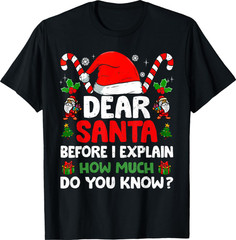 Dear Santa I Can Explain shirt, funny Christmas quote tee, unisex Xmas t-shirt