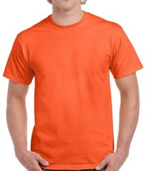 ROOTED IN CHRIST SHIRT (FRONT PRINT ONLY) JESUS GOD INSPIRATIONAL