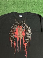 Pulling Teeth Deathwish Inc T Shirt Sz L MDHC Maryland Hardcore A389 TUI