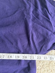 Champion shirt adult extra large 1XL purple short sleeve crewneck casual mens a2