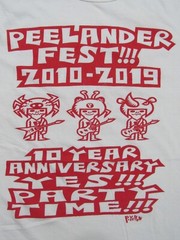 PEELANDER-Z FEST 2010-2019 Austin Texas T-SHIRT Mens SMALL Concert Tour Limited
