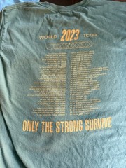 Springsteen E Street Band Tour Graphic Mens T-Shirt Lot L XL Various Brands