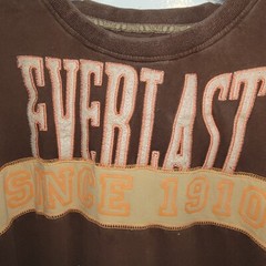 Vintage embroidered Everlast Boxing t shirt 2X