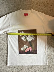 PacSun x The Met Graphic Roses and Lilies Painting Cream T Shirt Size Small