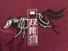 Destiny Burgundy Bungie Team Wolf T-Shirt (See Description)