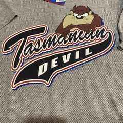 VTG Sherry’s Best Gray Tasmanian Devil Taz T-Shirt Mens L RARE Mesh Fabric NWT