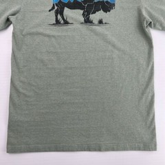 Patagonia Shirt Men Small Bison Responsibili Tee Graphic Work Party Gym Core Ex
