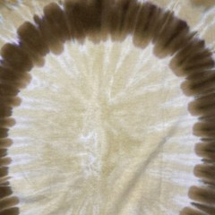 Sun Dog T Shirt Swirl Pattern Hand Dyed Tie Dye Neutral Hippie Cook Forest XL