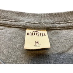 Hollister Shirt Mens Medium Retro Spell Out Preppy Academia Gray Streetwear