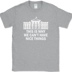 Why We Can’t Have Nice Things T-Shirt Funny Anti Government Political Tee