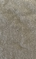 Lee Jeans Vtg Military Green T-Shirt Men’s Sz XL Rare GRUNT Hot Hogs GRU