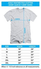 The Transformers Decepticon Logo 80’s Cartoon Licensed Adult T-Shirt