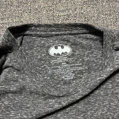 Batman Robin Literal Bat Bird Funny T Shirt Mens 2XL Gray DC Comics Graphic Tee