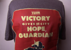 Destiny 2 Team Rubicon Bungie Foundation Guardians For Hope T-shirt Large Shaxx