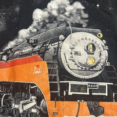 Daylight Sales Trains Authentic Railroad Clothing T-Shirt Youth L Glow In The D