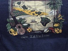 Kauai 100%Cotton Large Navy T-shirt Machine Washable