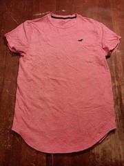 Hollister Men’s Salmon Must Have Collection Curved Hem T-shirt Size Large