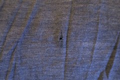 Woolly Clothing Sailboat 100% Merino Wool Graphic T-Shirt Grey Men’s Medium