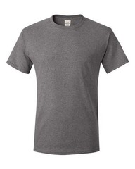 Hanes 5250 Unisex Authentic T-Shirt