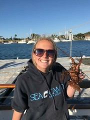 Adult Size Large, Navy Blue SEACAMP San Diego Logo Hooded Sweatshirt, Unisex