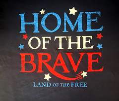 Patriotic T-Shirt Mens L 42-44 Blue Home Of The Brave Land of the Free SS NWT