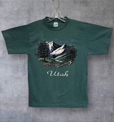 Vintage 80’s Utah Nature / Art Tee Single Stitch T Shirt Medium 19”x26.5”