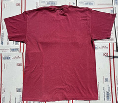 Vintage Majestic 2010 Stanley Cup hockey Finals Chicago Blackhawks T Shirt Sz. L