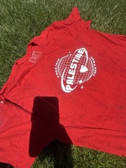 Wear The Peace Unisex Adult Heavy Tee Red Palestine *flaw