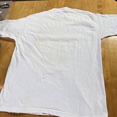 Screeching Weasel – shirt size XL VINTAGE single stitch queers punk See Photos