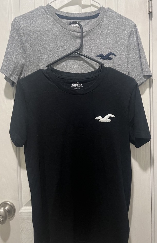 Lot of 2 T- Shirts Hollister Must Have Collection Men’s Sz XS