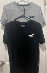 Lot of 2 T- Shirts Hollister Must Have Collection Men’s Sz XS