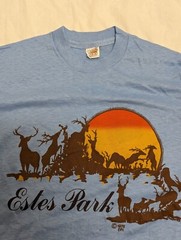 NEVER USED DEAD STOCK VINTAGE 70’S HANES GOLD TAG SINGLE STITCH T SHIRT USA MADE