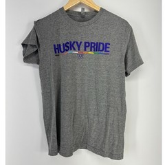 Next Level T-Shirt Mens Medium Gray Husky Pride UW Rainbow LGBTQ College Tee