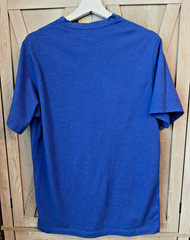 Champion Heather Blue Script Logo Graphic T-Shirt Mens Medium Y2K Retro 2000s