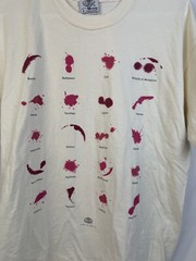 Parole Di Cotone T Shirt Slogan Vini D’Italia Made In Italy Men’s Large