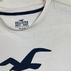 Hollister Ombre T Shirt Men’s Large Crewneck Blue Must Have Collection Logo